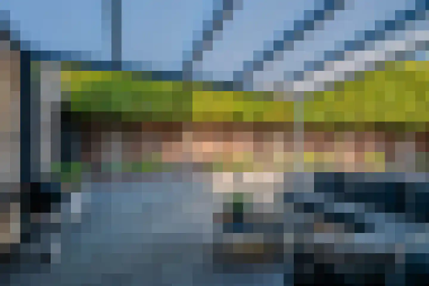 Circusroos 14 Venray thumbnail 33
