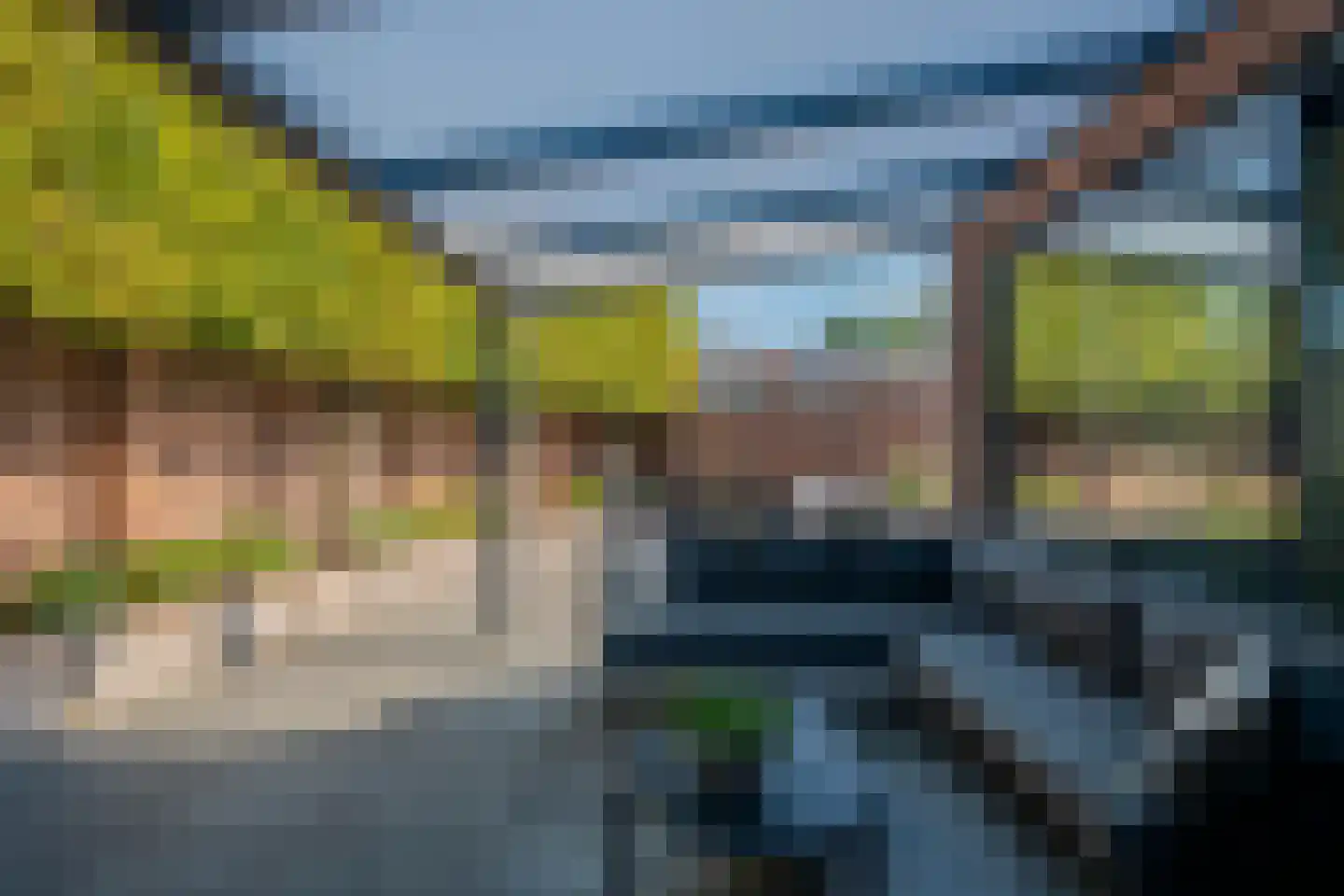 Circusroos 14 Venray thumbnail 34