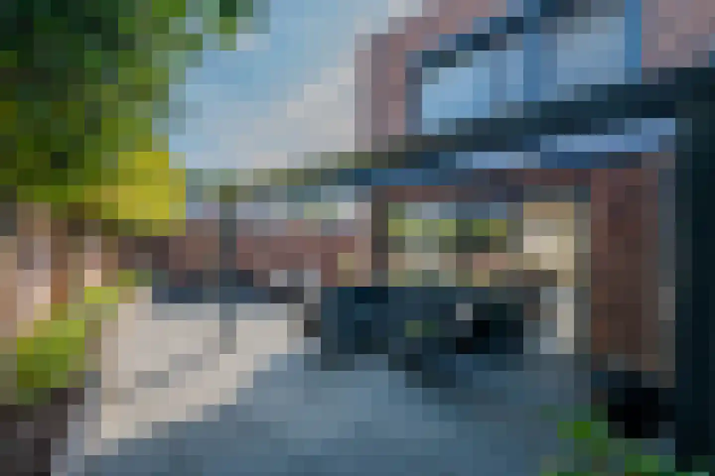 Circusroos 14 Venray thumbnail 35
