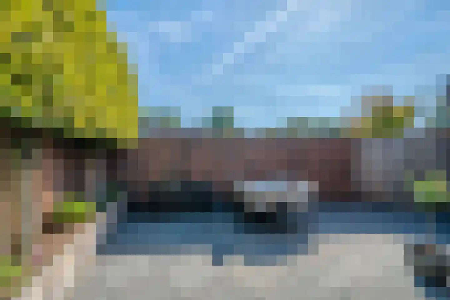 Circusroos 14 Venray thumbnail 37