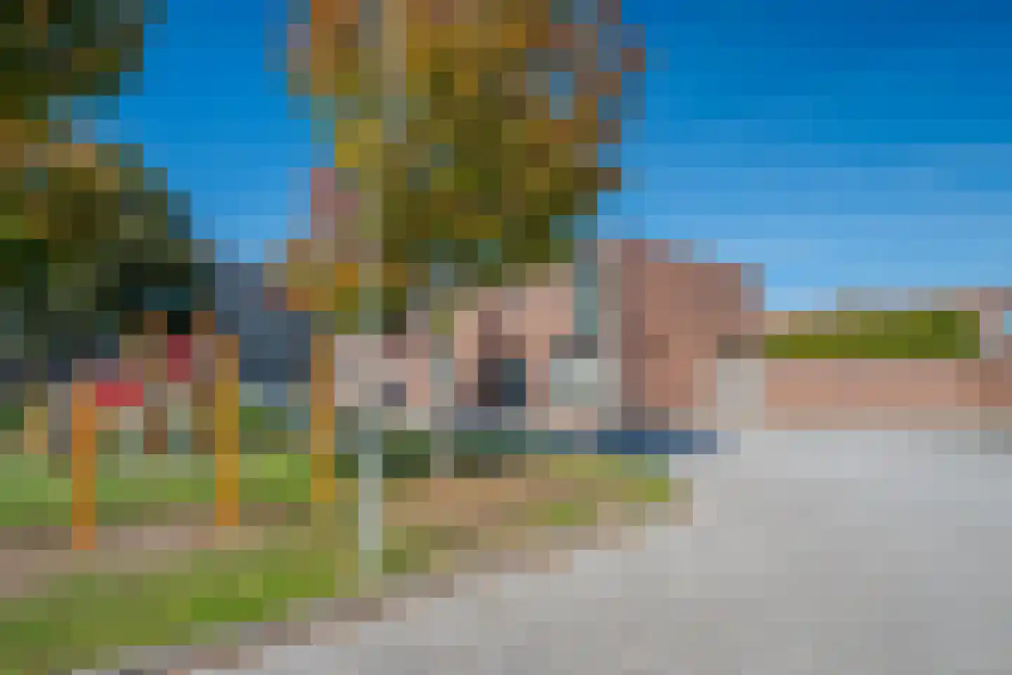 Circusroos 14 Venray thumbnail 43