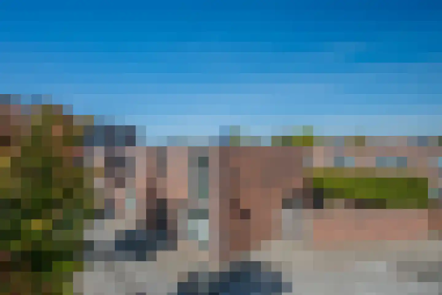 Circusroos 14 Venray thumbnail 6