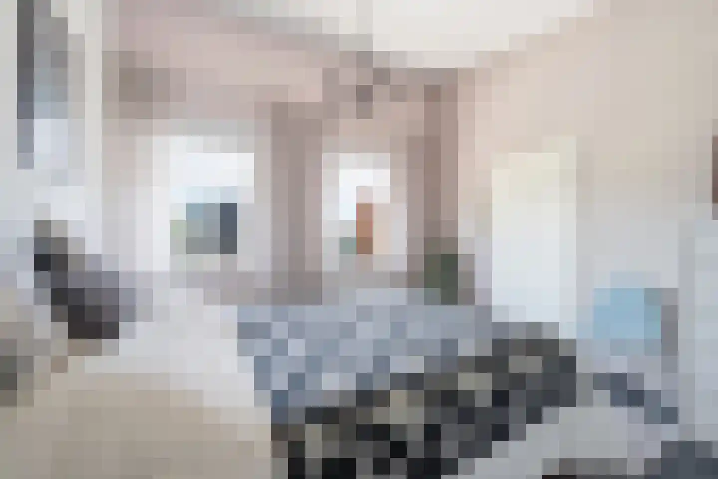 Cirkel 1 Vlissingen thumbnail 22