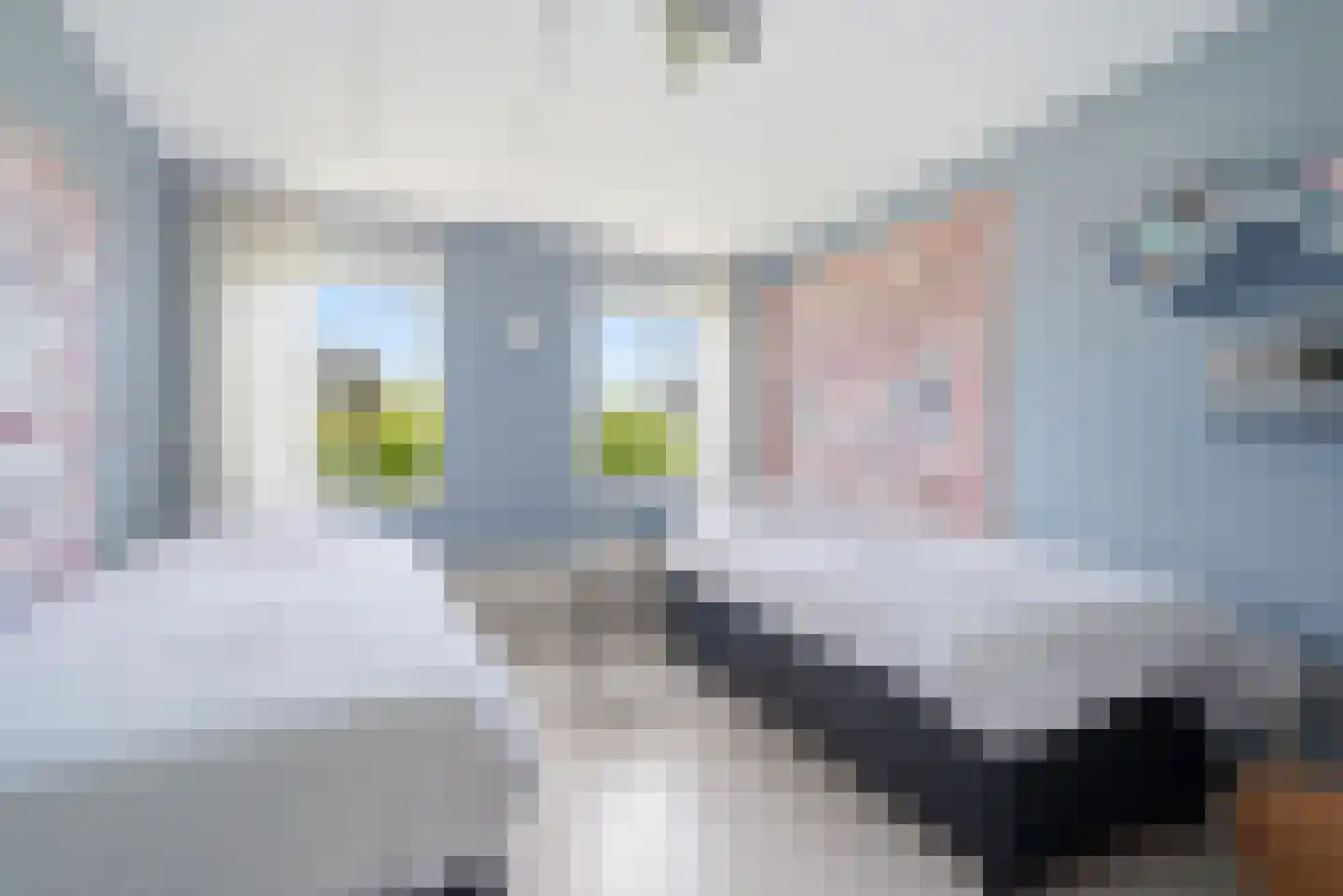 Cirkel 1 Vlissingen thumbnail 27
