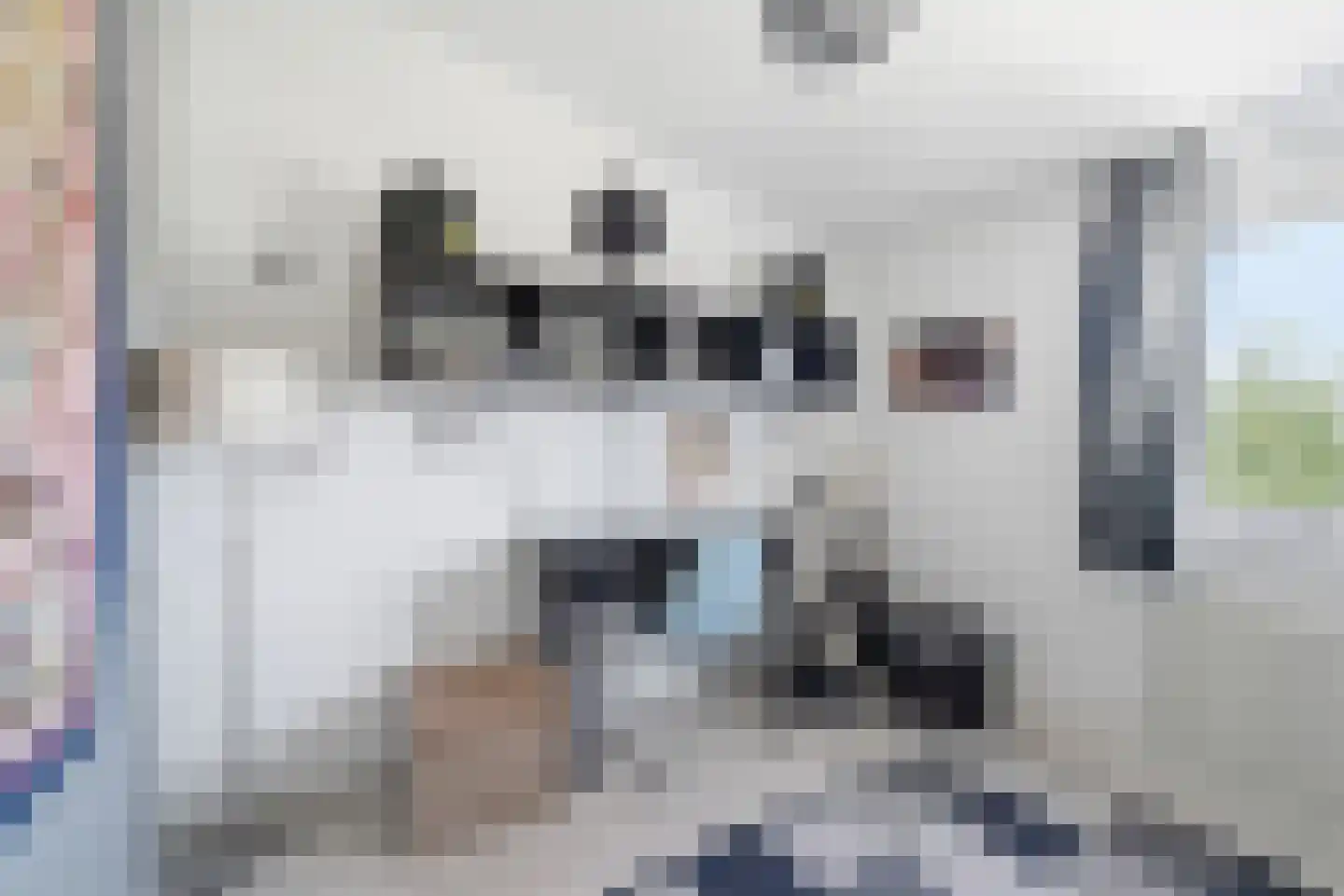 Cirkel 1 Vlissingen thumbnail 30
