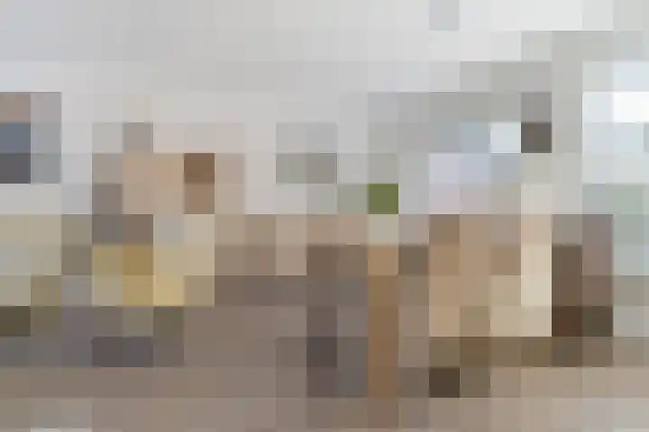 Cirkel 11 Vlissingen thumbnail 6