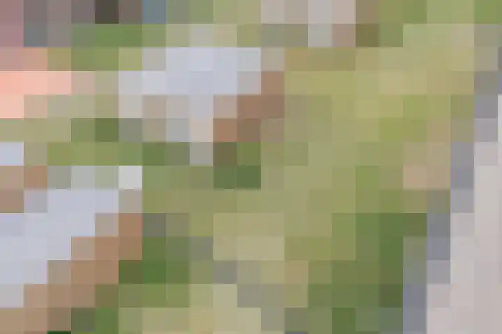 Cirkelmaaier 12 't Zand thumbnail 41