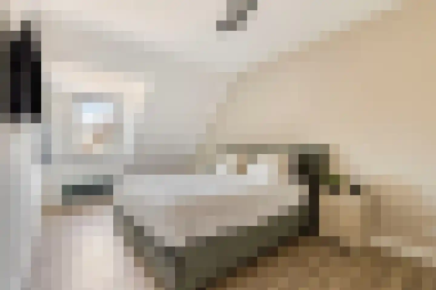Cissenlaan 7 Vinkel thumbnail 17