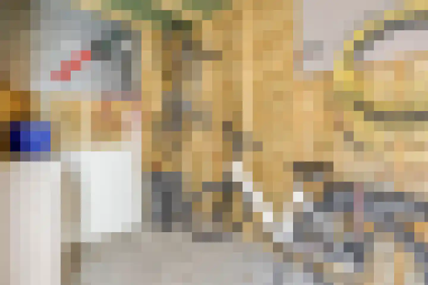 Cissenlaan 7 Vinkel thumbnail 35