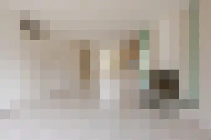 Cissy van Marxveldtstraat 3 Spijkenisse thumbnail 10