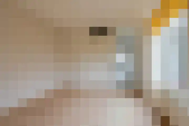 Cissy van Marxveldtstraat 3 Spijkenisse thumbnail 16