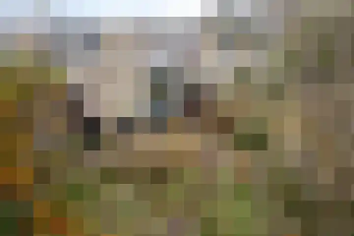Cissy van Marxveldtstraat 3 Spijkenisse thumbnail 18