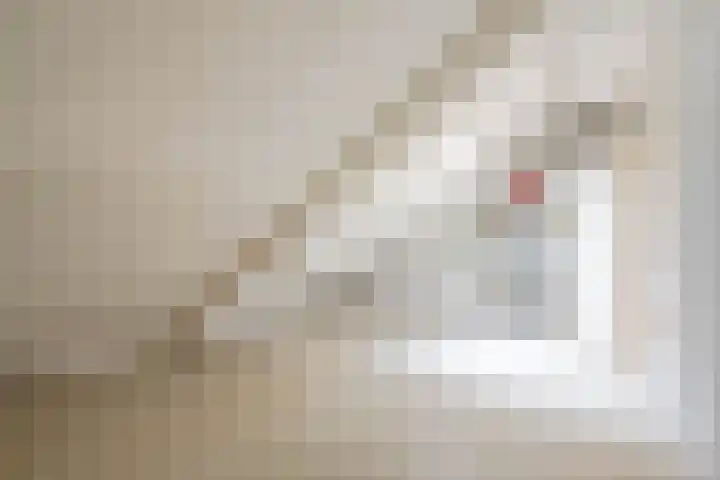 Cissy van Marxveldtstraat 3 Spijkenisse thumbnail 25