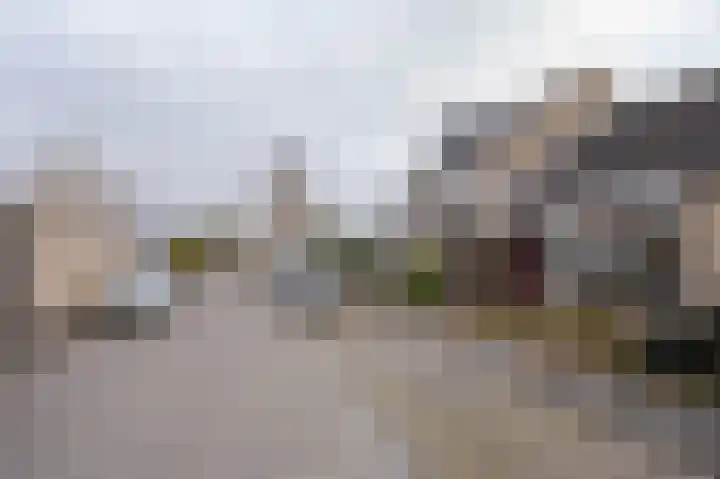 Cissy van Marxveldtstraat 3 Spijkenisse thumbnail 28