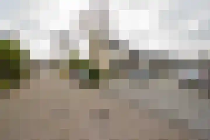 Cissy van Marxveldtstraat 3 Spijkenisse thumbnail 29