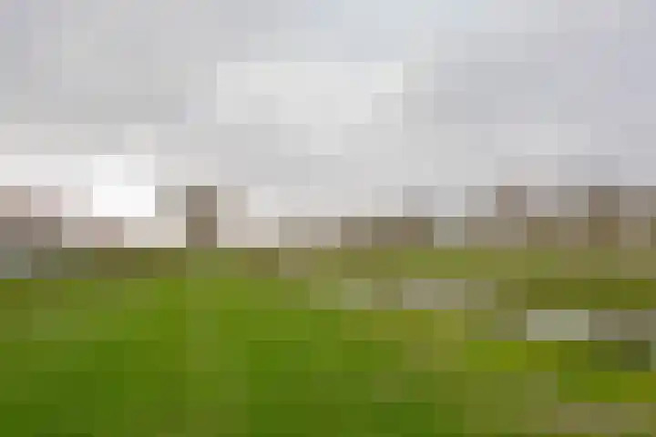Cissy van Marxveldtstraat 3 Spijkenisse thumbnail 30