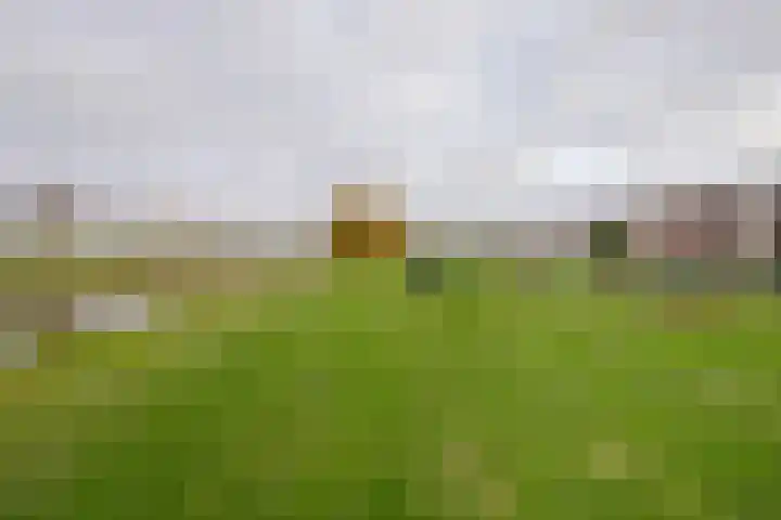 Cissy van Marxveldtstraat 3 Spijkenisse thumbnail 31