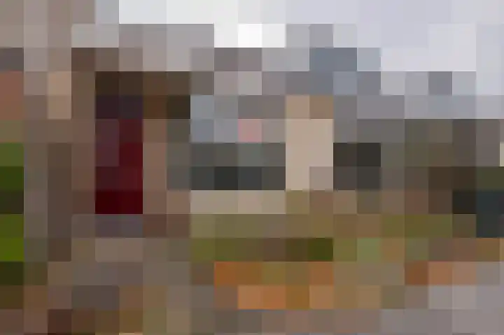Cissy van Marxveldtstraat 3 Spijkenisse thumbnail 6