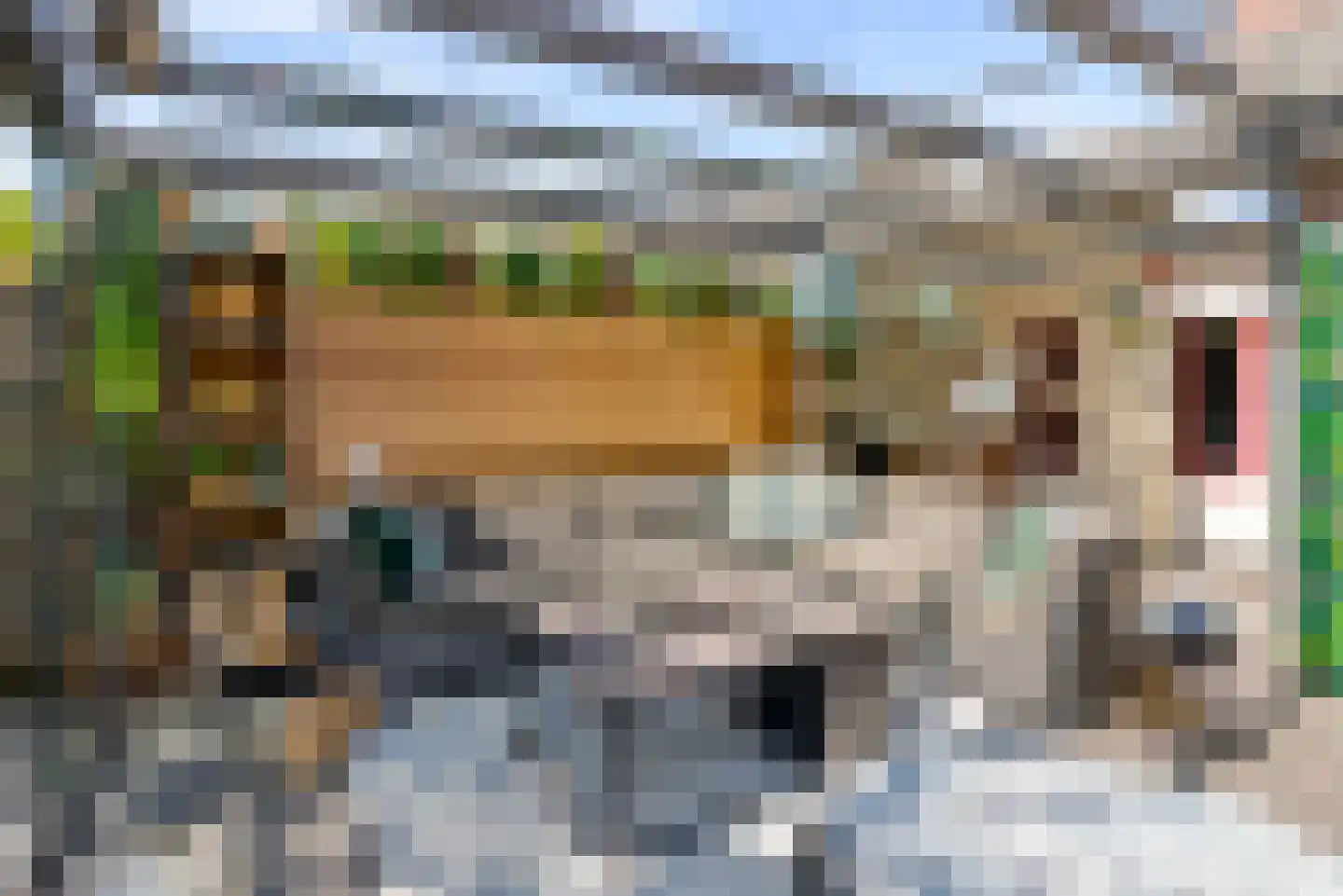 Cissy van Marxveldtstraat 35 Almere thumbnail 23