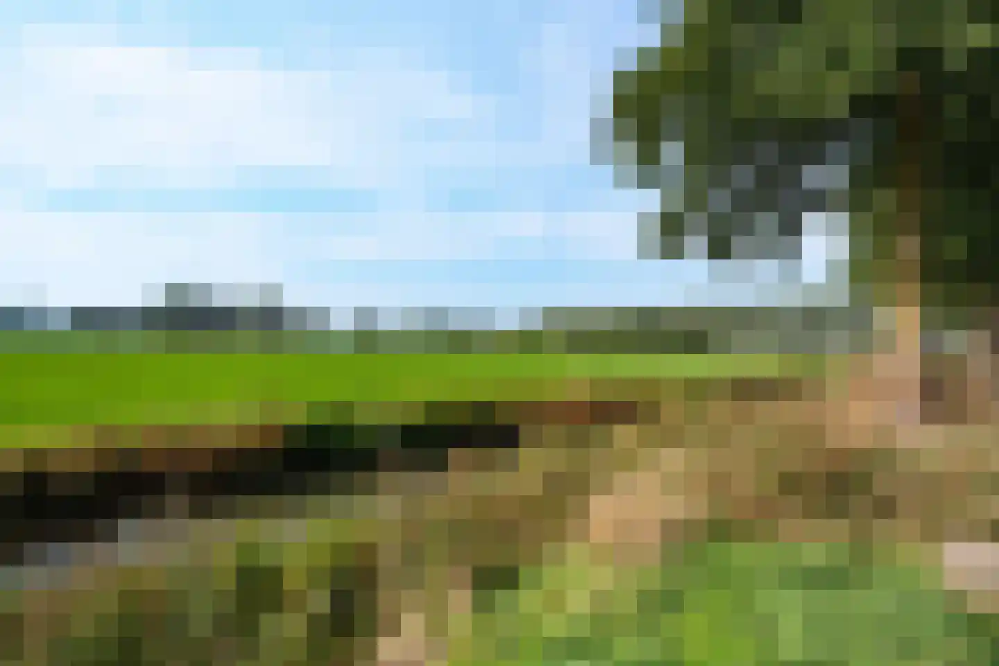 Cissy van Marxveldtstraat 35 Wageningen thumbnail 34