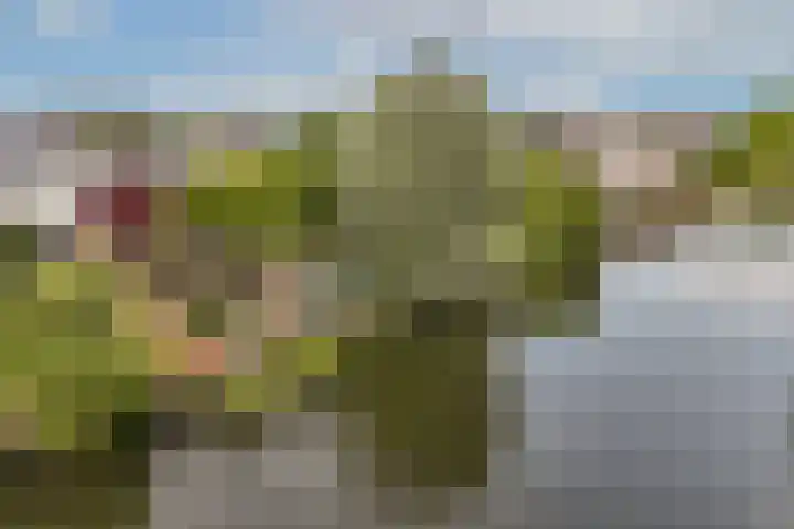Cissy van Marxveldtstraat 39 Almere thumbnail 39