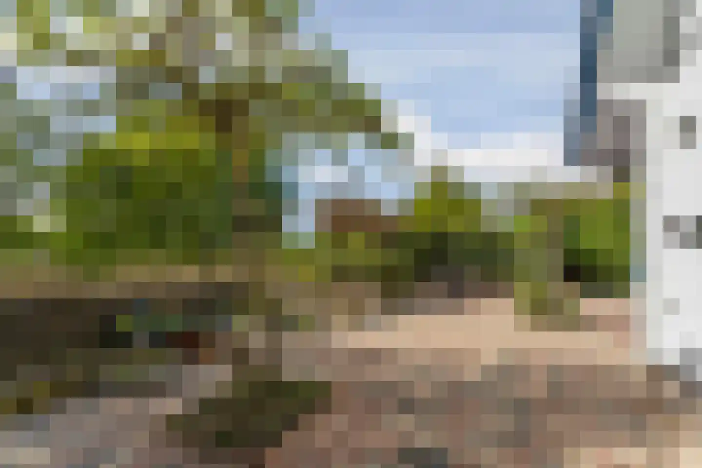 Cissy van Marxveldtstraat 65 Almere thumbnail 63