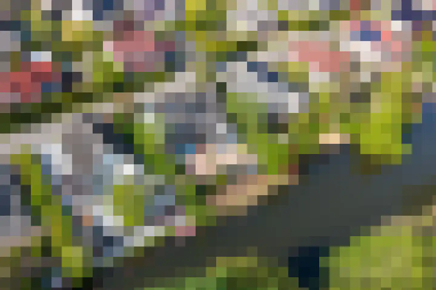Cissy van Marxveldtstraat 65 Almere thumbnail 67