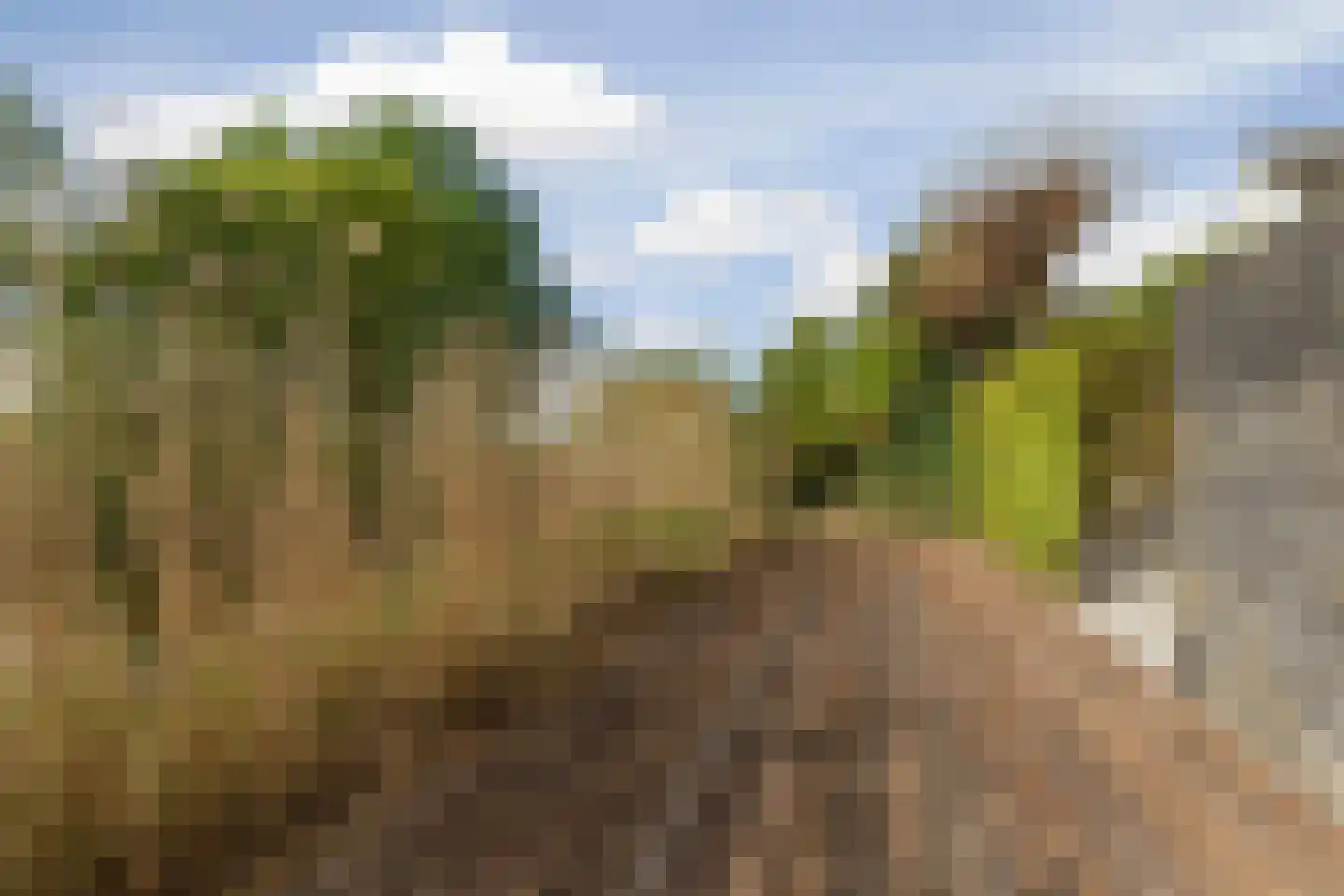 Cissy van Marxveldtstraat 65 Almere thumbnail 70