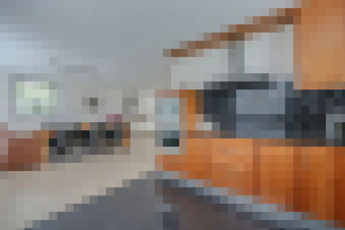 Cissy van Marxveldtstraat 67 Almere thumbnail 16