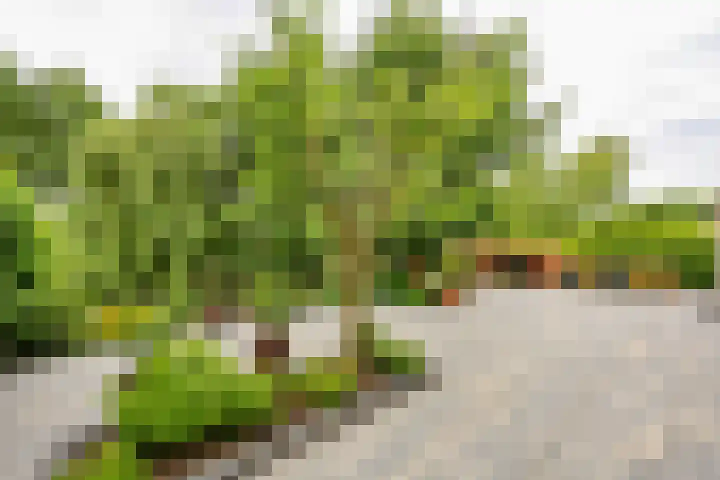 Cissy van Marxveldtstraat 67 Almere thumbnail 43