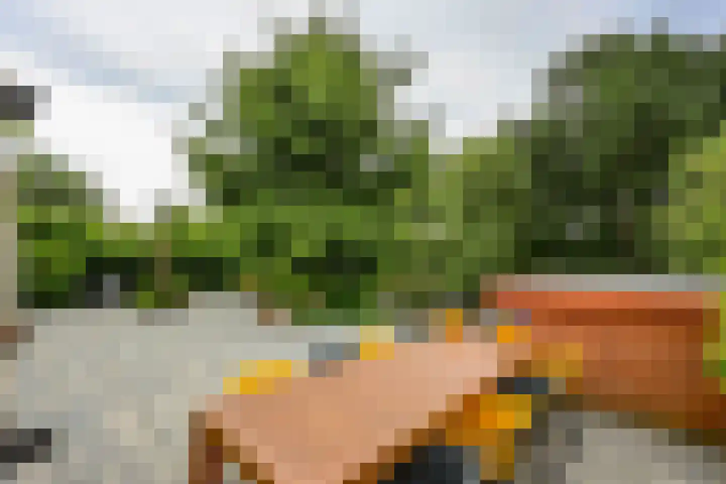 Cissy van Marxveldtstraat 67 Almere thumbnail 44