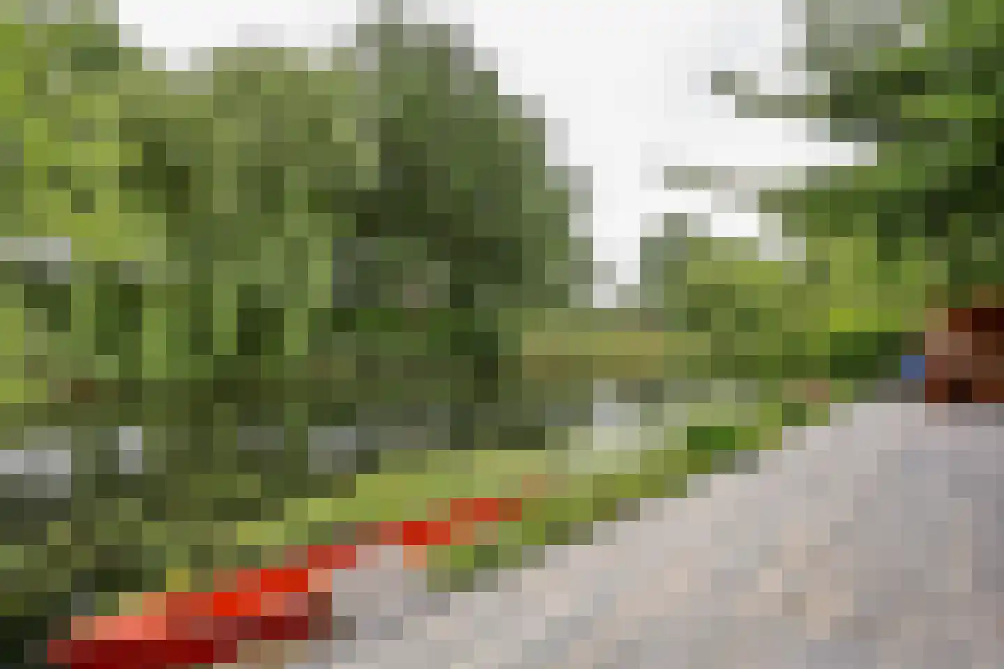 Cissy van Marxveldtstraat 67 Almere thumbnail 49