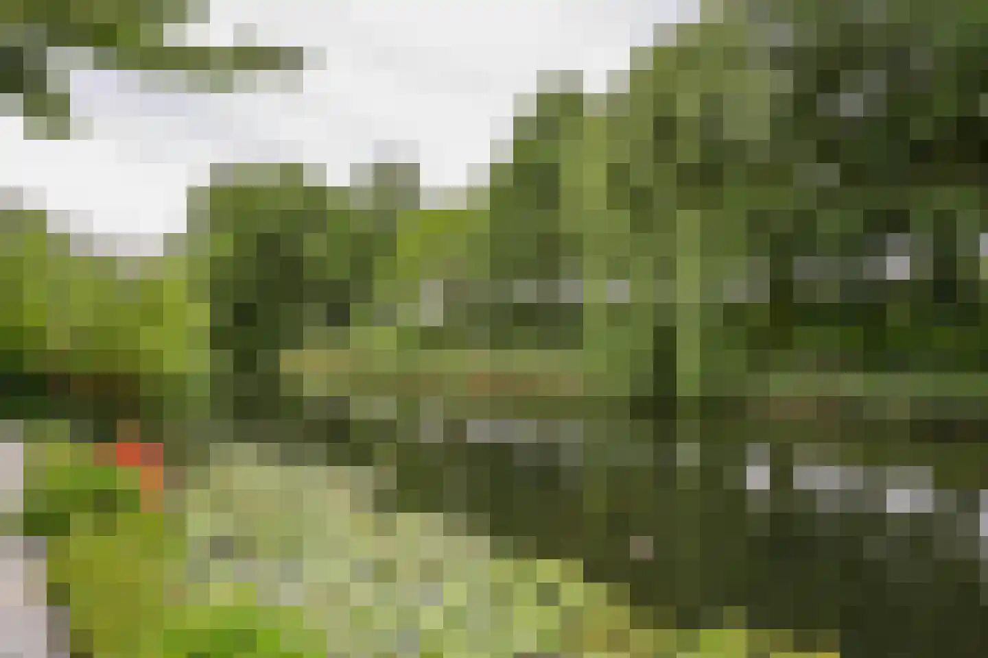 Cissy van Marxveldtstraat 67 Almere thumbnail 50