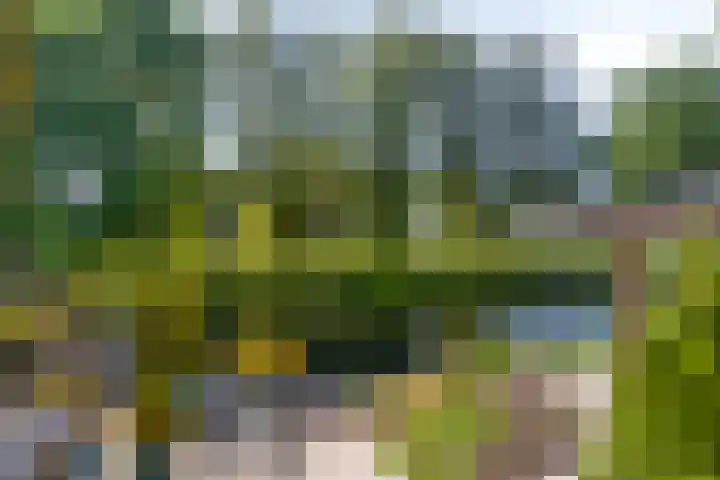 Cissy van Marxveldtstraat 9 Almere thumbnail 22