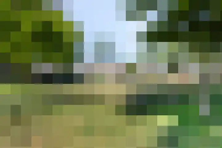 Cissy van Marxveldtstraat 9 Almere thumbnail 43