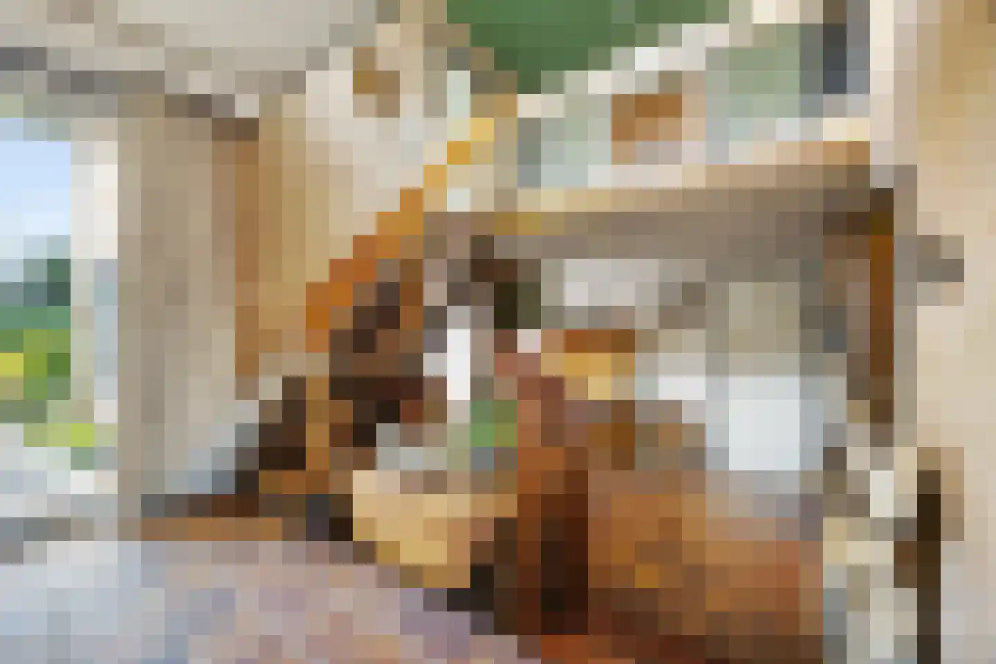 Citadel 11 Huissen thumbnail 19