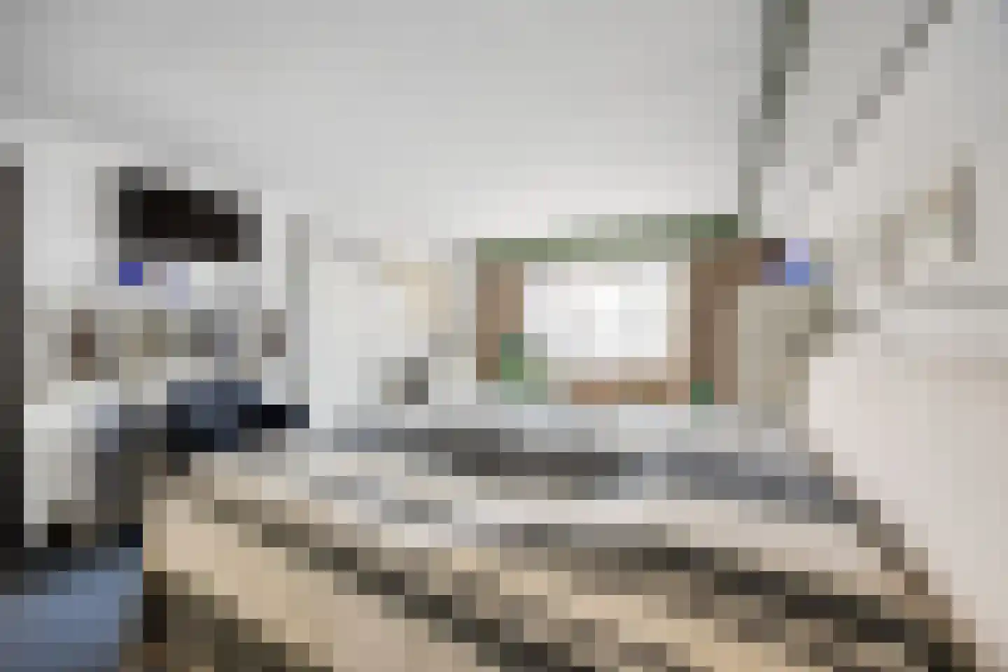 Citadel 11 Huissen thumbnail 24