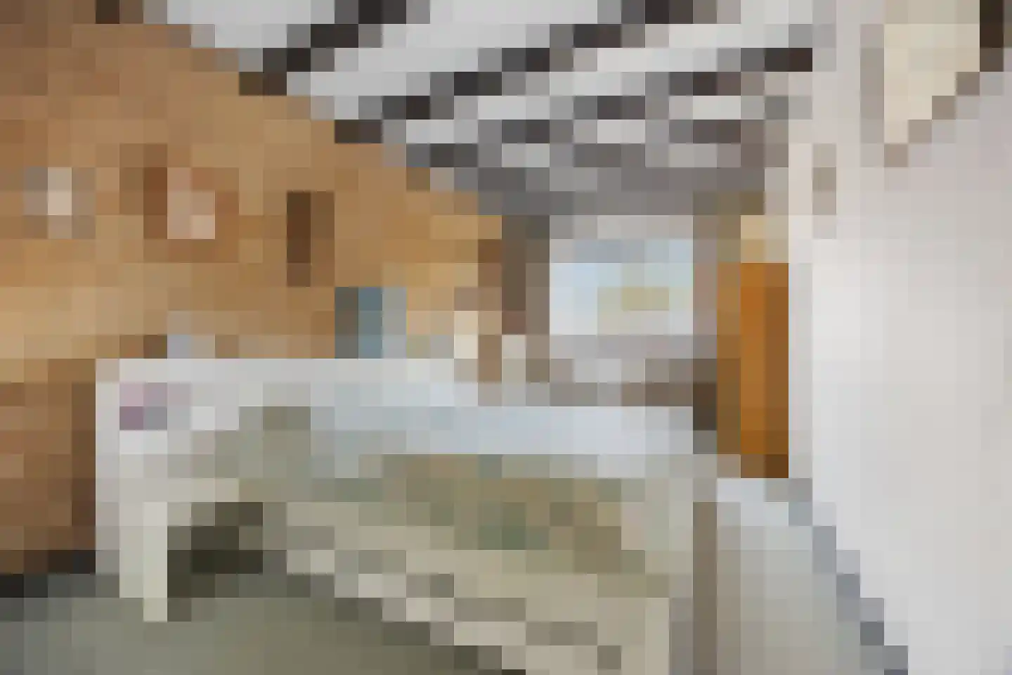 Citadel 11 Huissen thumbnail 33