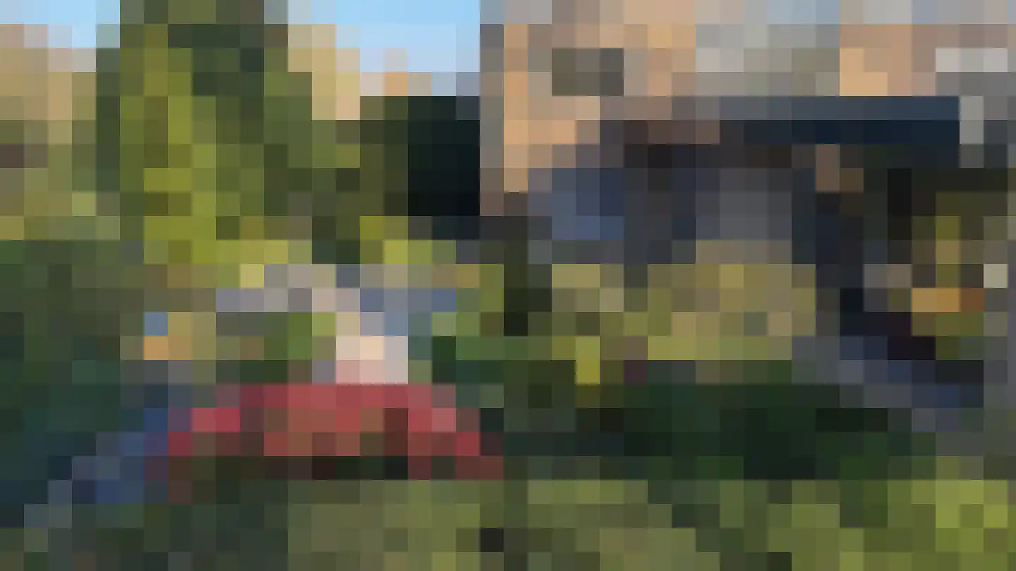 Citadel 11 Huissen thumbnail 51