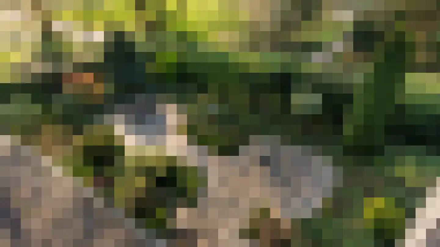 Citadel 11 Huissen thumbnail 52