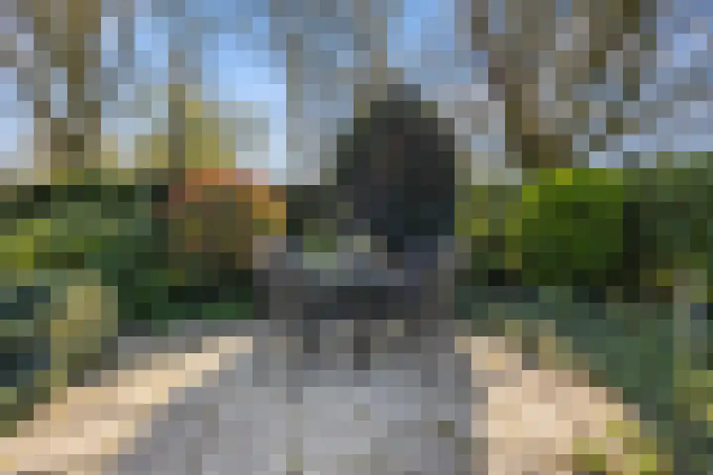 Citadel 11 Huissen thumbnail 54