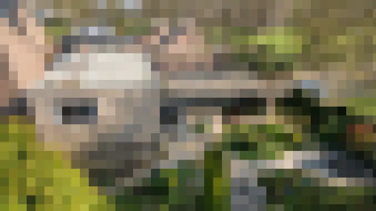 Citadel 11 Huissen thumbnail 6