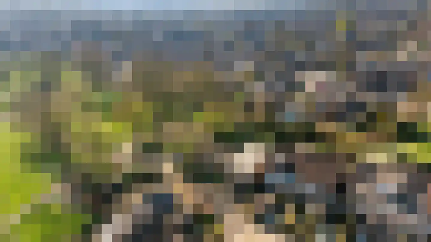 Citadel 11 Huissen thumbnail 60