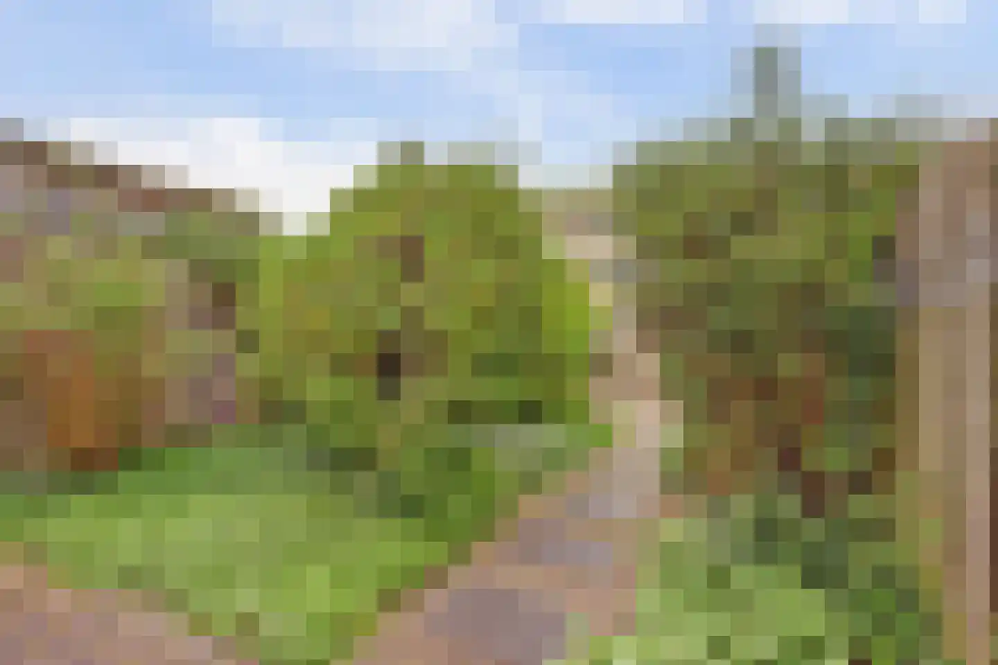 Citadel 111 Zaltbommel thumbnail 18