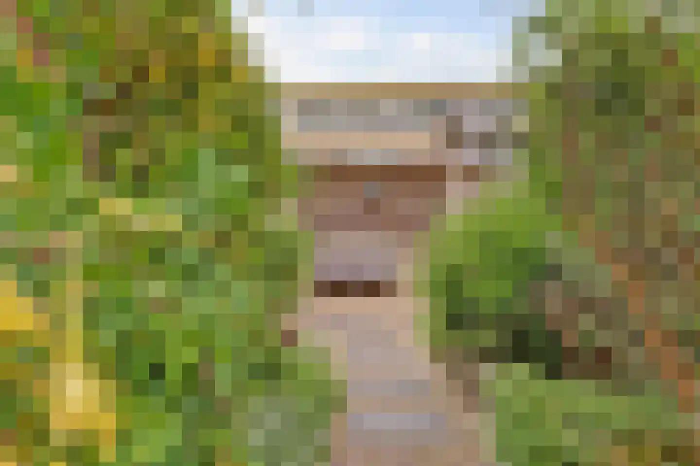 Citadel 111 Zaltbommel thumbnail 20