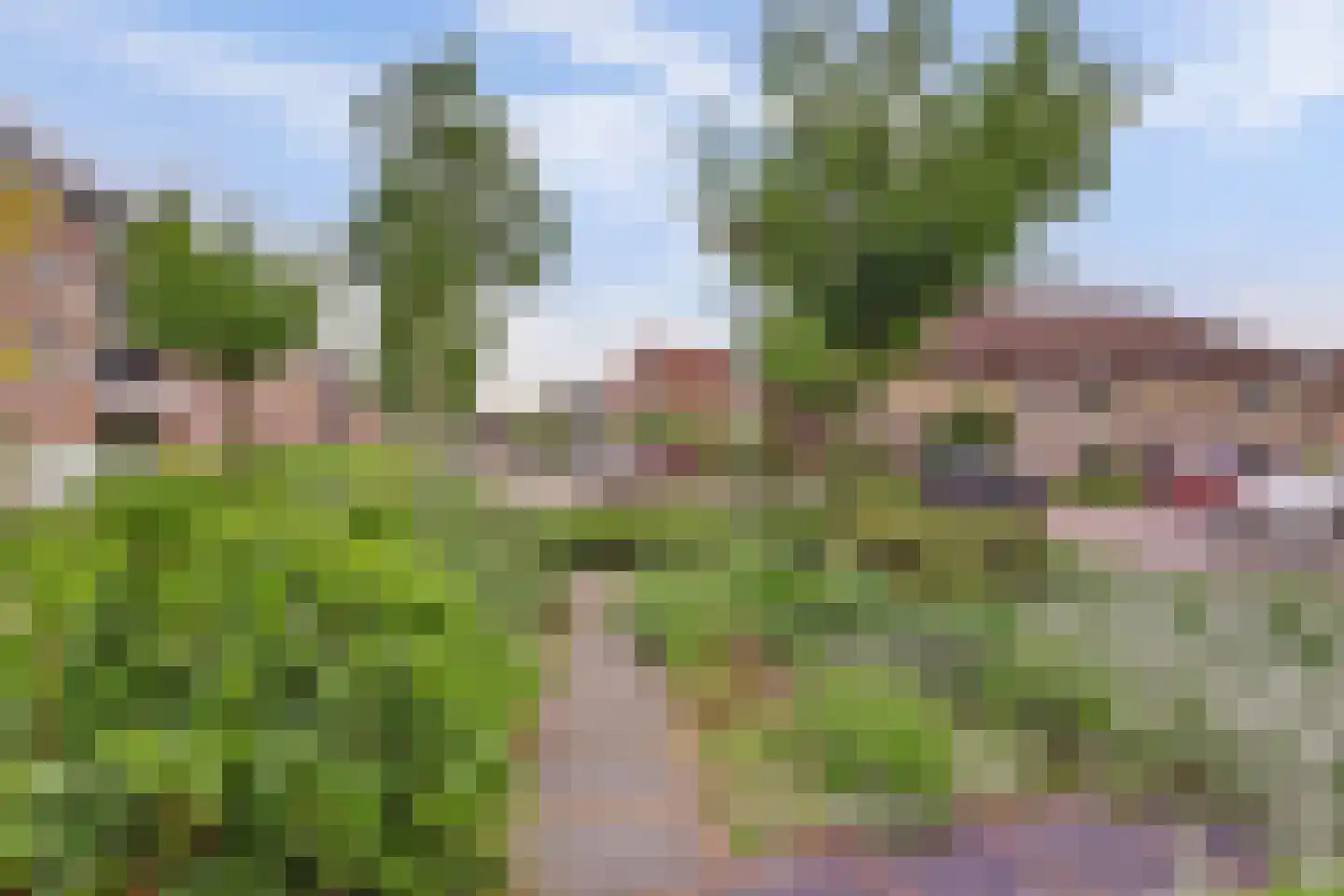 Citadel 111 Zaltbommel thumbnail 40