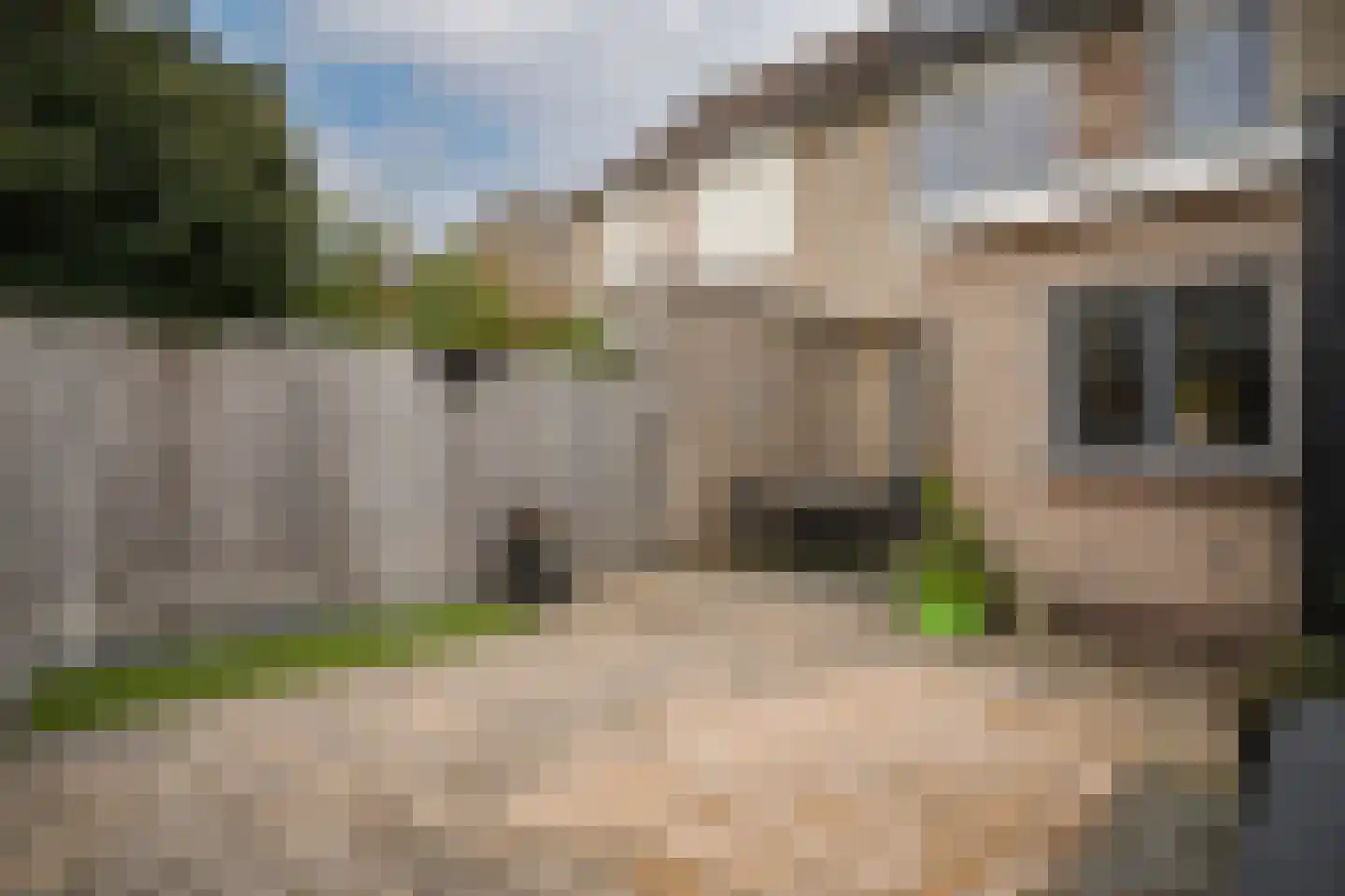 Citadel 12 Zaltbommel thumbnail 40