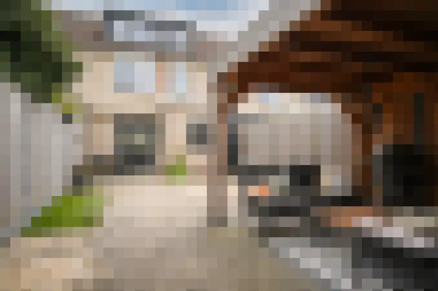 Citadel 12 Zaltbommel thumbnail 5