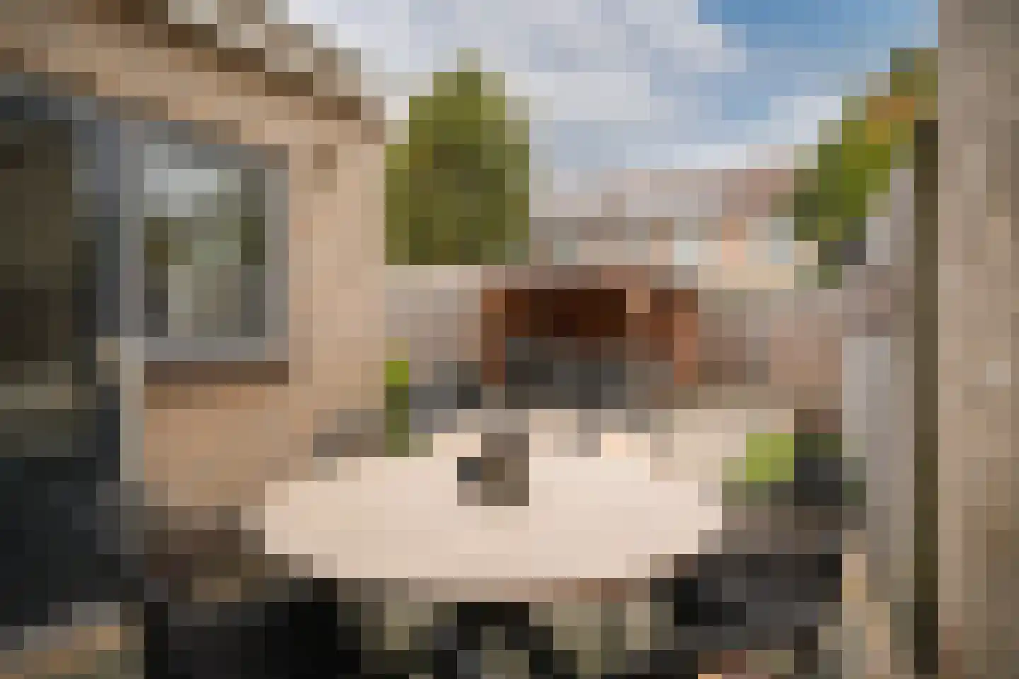 Citadel 12 Zaltbommel thumbnail 6