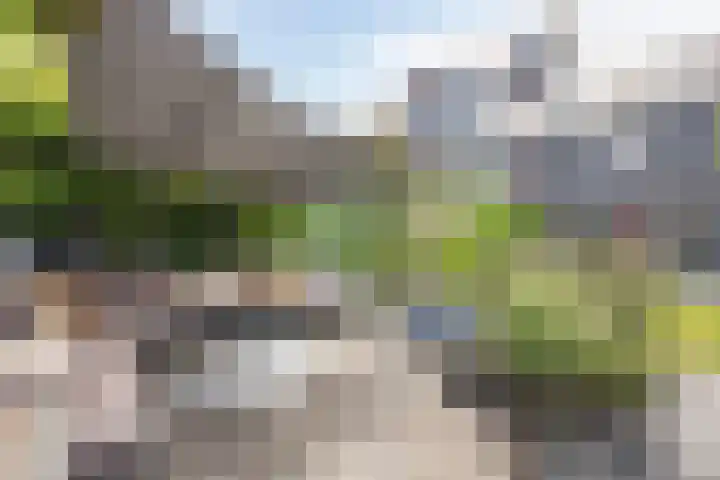 Citadel 13 Assen thumbnail 33